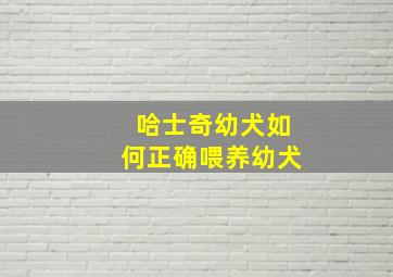 哈士奇幼犬如何正确喂养幼犬