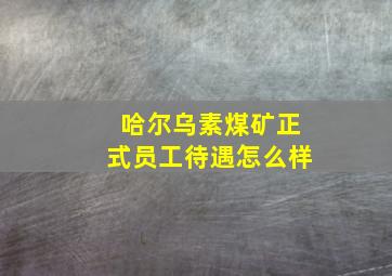 哈尔乌素煤矿正式员工待遇怎么样