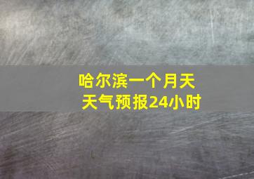 哈尔滨一个月天天气预报24小时