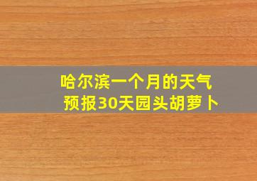 哈尔滨一个月的天气预报30天园头胡萝卜