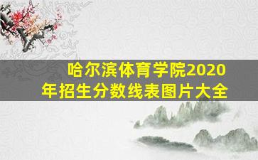 哈尔滨体育学院2020年招生分数线表图片大全