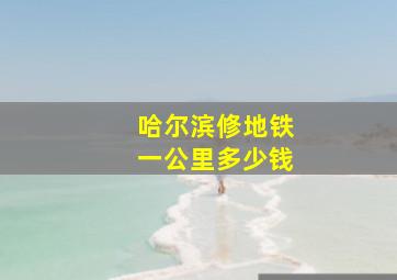 哈尔滨修地铁一公里多少钱