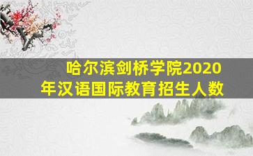 哈尔滨剑桥学院2020年汉语国际教育招生人数