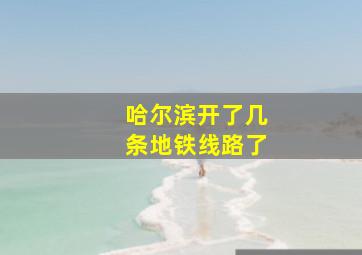 哈尔滨开了几条地铁线路了