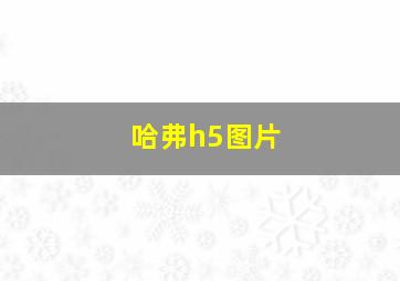 哈弗h5图片