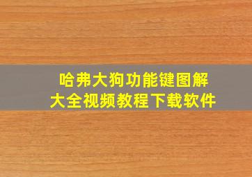 哈弗大狗功能键图解大全视频教程下载软件