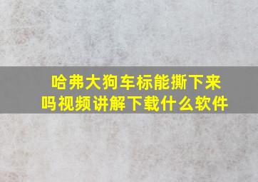 哈弗大狗车标能撕下来吗视频讲解下载什么软件