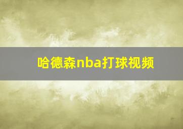 哈德森nba打球视频