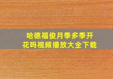 哈德福俊月季多季开花吗视频播放大全下载