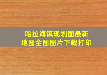 哈拉海镇规划图最新地图全图图片下载打印