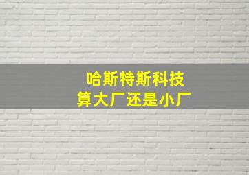 哈斯特斯科技算大厂还是小厂