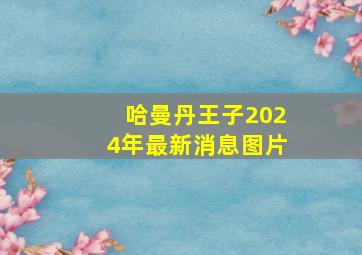 哈曼丹王子2024年最新消息图片