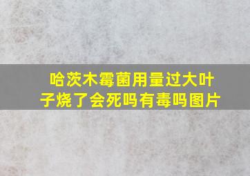 哈茨木霉菌用量过大叶子烧了会死吗有毒吗图片