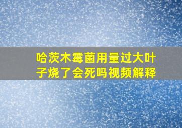 哈茨木霉菌用量过大叶子烧了会死吗视频解释