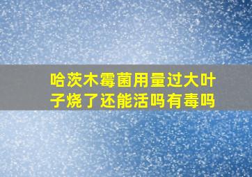 哈茨木霉菌用量过大叶子烧了还能活吗有毒吗