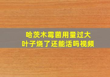 哈茨木霉菌用量过大叶子烧了还能活吗视频