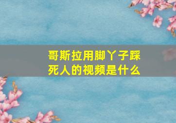 哥斯拉用脚丫子踩死人的视频是什么