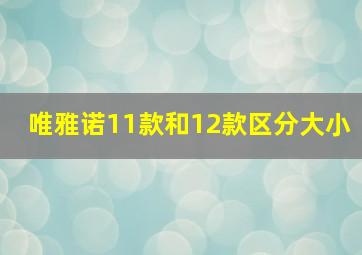 唯雅诺11款和12款区分大小