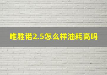 唯雅诺2.5怎么样油耗高吗