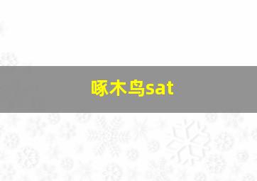 啄木鸟sat