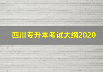 四川专升本考试大纲2020