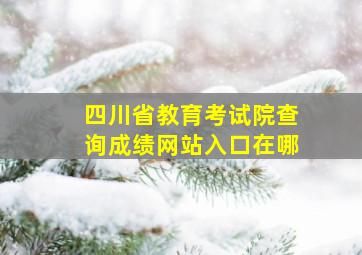 四川省教育考试院查询成绩网站入口在哪