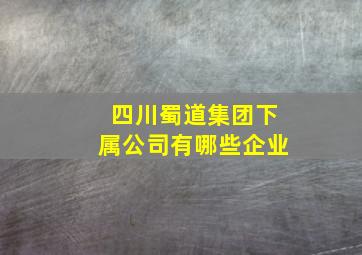 四川蜀道集团下属公司有哪些企业