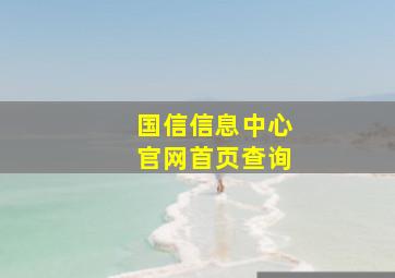 国信信息中心官网首页查询