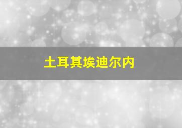 土耳其埃迪尔内