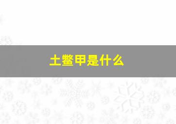 土鳖甲是什么