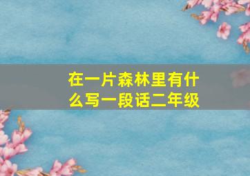 在一片森林里有什么写一段话二年级