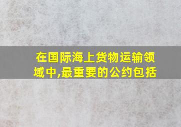 在国际海上货物运输领域中,最重要的公约包括