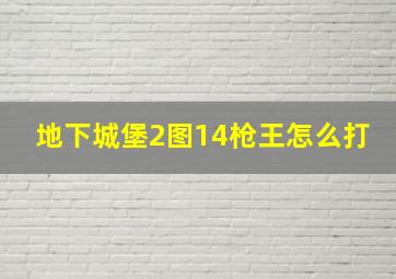 地下城堡2图14枪王怎么打