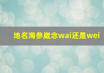 地名海参崴念wai还是wei