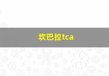 坎巴拉tca