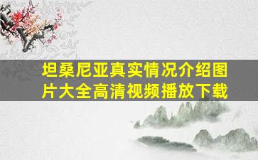 坦桑尼亚真实情况介绍图片大全高清视频播放下载