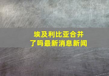 埃及利比亚合并了吗最新消息新闻