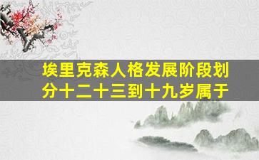 埃里克森人格发展阶段划分十二十三到十九岁属于