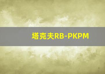 塔克夫RB-PKPM