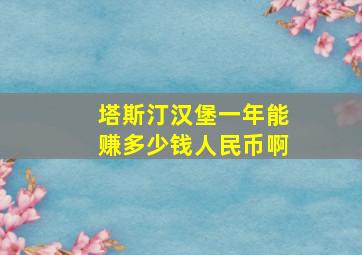 塔斯汀汉堡一年能赚多少钱人民币啊