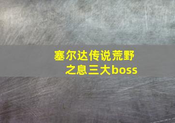 塞尔达传说荒野之息三大boss