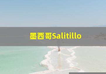 墨西哥Salitillo