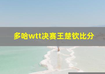 多哈wtt决赛王楚钦比分