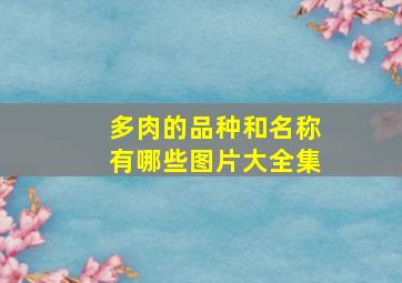 多肉的品种和名称有哪些图片大全集