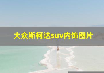 大众斯柯达suv内饰图片