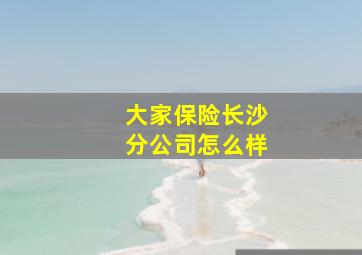 大家保险长沙分公司怎么样