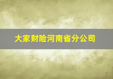 大家财险河南省分公司