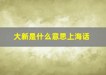 大新是什么意思上海话