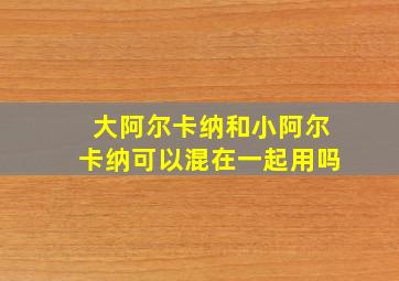 大阿尔卡纳和小阿尔卡纳可以混在一起用吗