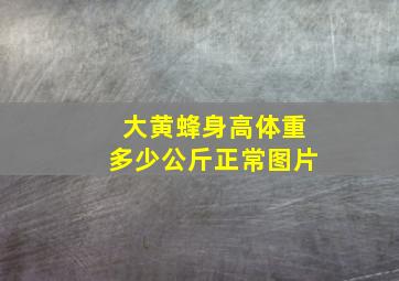 大黄蜂身高体重多少公斤正常图片